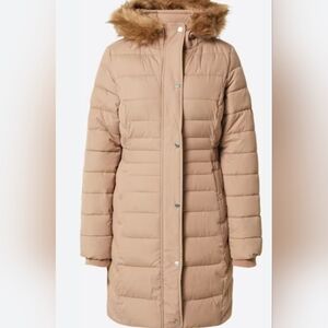 Hollister Winter Jacket Size Xs